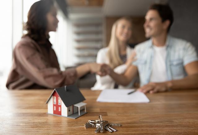 litige propriétaire locataire